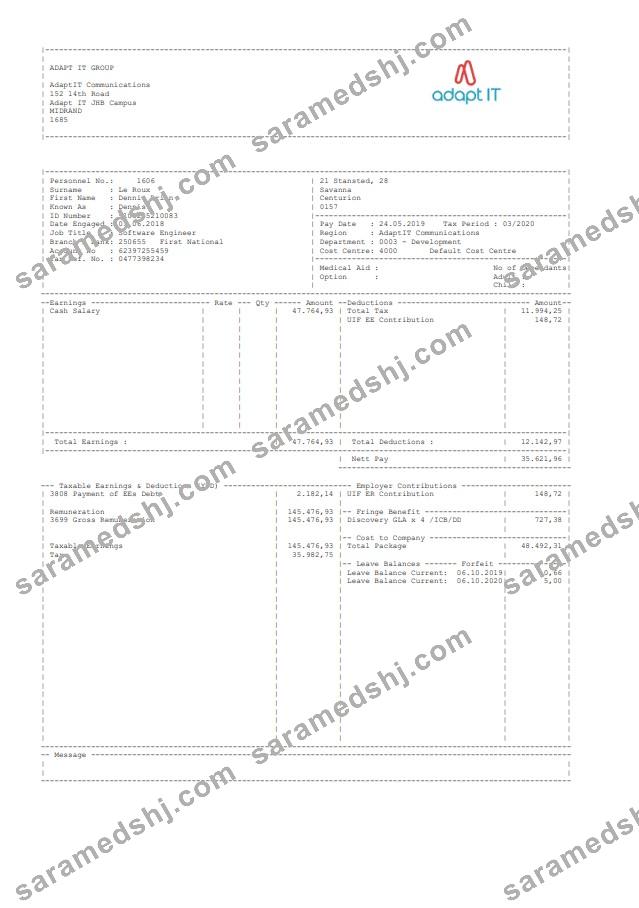 Adapt ID Group Paystub